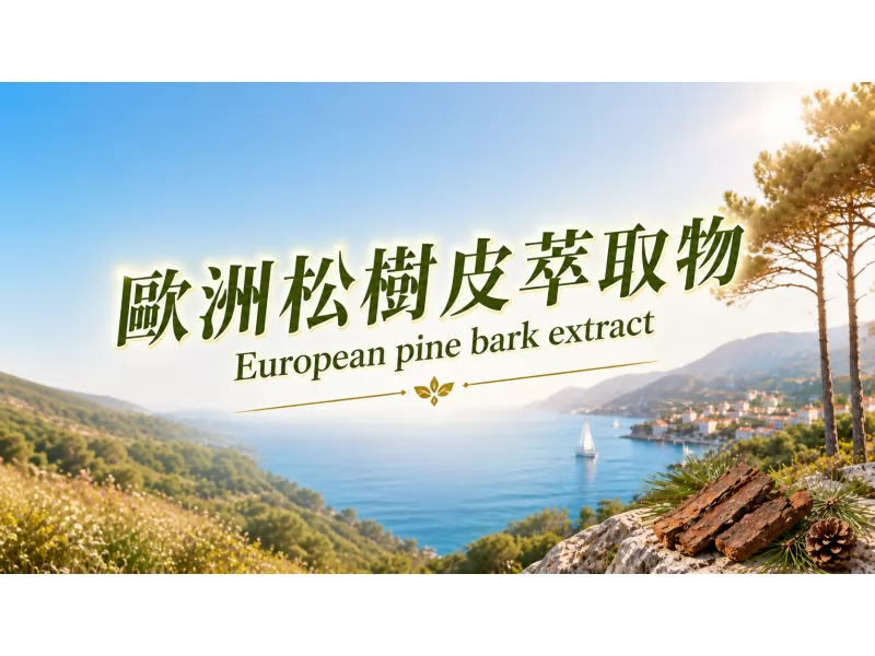 歐洲松樹皮萃取物
